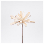 Λουλουδι Φιογκος, Σαμπανι, 25x45cm