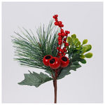 Πικακι με Πευκοβελονα και Berry, 25cm