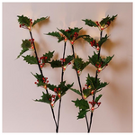 2 Κλαδια Πρασινα με Κοκκινα Μουρα H75cm, Μπαταριας 3χαα, Χρονοδιακοπτη, 2*8 Θερμα Λευκα Led, Προεκταση Παροχης 30cm, Ip20