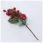 Πικακι με Κοκκινα Berries kai Μηλο, 26cm