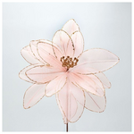 Νταλια, Ροζ, 33x45cm