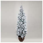 Δεντρο Ελατο Χιονισμενο, Στοκχολμη, με Γλαστρακι, 210cm
