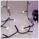 Σειρα, 240 led 3mm, 31v Μετασχηματιστη, 8 Προγραμμα & Μνημη, Πρασινο pvc Καλωδιο, Θερμο Λευκο & μωβ Led, ανα 5cm, Προεκταση Παροχης 3m, Ip44