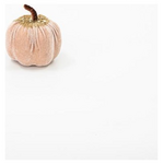 Βελουδινη Κολοκυθα, Σομον, με Χρυσο Γκλιτερ, 8cm