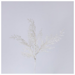 Φτερη Λευκη, 28cm, σετ 2τμχ (Top 120)