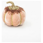 Βελουδινη Κολοκυθα, Σομον, με Χρυσο Γκλιτερ, 20cm