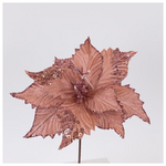 Βελουδινο Λουλουδι, Σαπιο Μηλο, 32cm