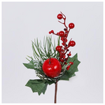 Πικακι με Μηλο και Berry, 26cm