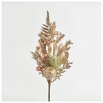 Κλαδακι Σαμπανι, 65cm