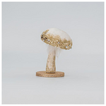 Βελουδινο Μανιταρι, Λευκο, 7x13cm