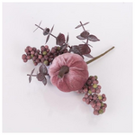 Πικακι με ροζ Βελουδινη Κολοκυθα, 20cm