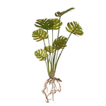 Φυτο/κλαδι Πρασινο υ51