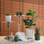 Κασπώ pl Click 6-70-870-0002