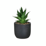 Click Φυτο σε Γλαστρακι 3 Σχεδια Φ14χ20