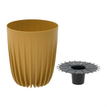 Click Κασπω pl Μπουσταρδι