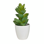 Click Τεχνητό Φυτό σε Γλαστράκι Λευκό/Πράσινο 20cm σε Διάφορα Σχέδια 6-85-508-0007