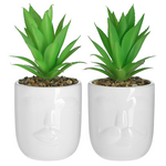 Click Φυτο σε Γλαστρακι Κεραμικο 2 Σχεδια Λευκο/πρασινο Φ9χ10