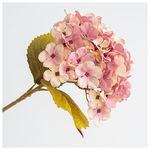 Ορτανσια, Μπεζ-Ροζ, 17x45cm