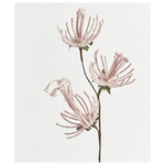 Κλαδι, με ροζ Λουλουδια, 51cm