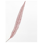 Φτερο Κοκκινο, 115cm