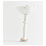 Μανιταρι, Λευκο, με Λευκο Κορμο, 25x25x42cm