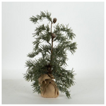 Δεντρακι Ιτια, 44cm