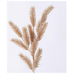 Κλαδι, Σαμπανι, 74cm