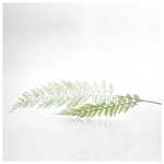 Κλαδι Φτερη, Μεντα, 92cm