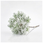 Κλαδι Anemωnh, Μεντα, 64cm