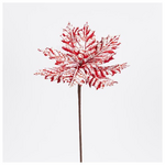 Αλεξανδρινο Candy, Παγωμενο, 27x45cm