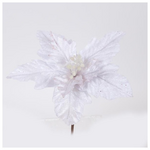 Αλεξανδρινο, Λευκο, με Λευκους Ανθηρες, 22cm