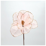 Ανεμωνη, Ροζ, 26x45cm