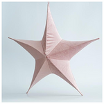 Βελουδινο Αστερι, Ροζ, 65cm