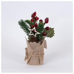 Display Box, Γλαστρακι με Αστερακι και Κοκκινα Berries, 12tmx, 22cm