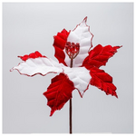 Αλεξανδρινο Candy, 27x20cm