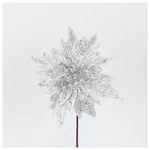 Αλεξανδρινο, Λευκο, 25cm