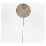 Βενταλια, Σαμπανι με Γκλιτερ, 16x51cm