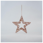 Αστερι με Παγιετες, Σαμπανι, 25cm