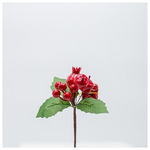 Πικακι με Μηλο, Ροδι και Δωρακι, 15cm