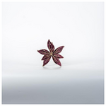 Βελουδινο Λουλουδι, Μπορντω, 20cm