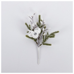 Πικακι με Λευκα Cranberries kai Berries, 20cm