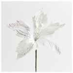 Αλεξανδρινο, Ασπρο, 30cm