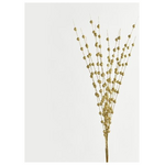 Κλαδι, Χρυσο, με Γκλιτερ Περλες, 150cm