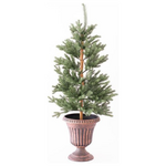 Κυπαρισσι σε Γλαστρακι, 120cm