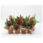 Display Box, Γλαστρακια με Λινατσα, 3 Σχεδια, 12τμχ, 22cm