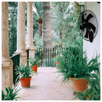 Ανεμιστηρας Τοιχου Μαυρος με Κοντρολ φ50 60w