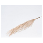 Πουπουλο, Γκρι, 79cm