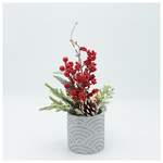 Κασπω με Χριστουγεννιατικη Διακοσμιση, Χιονισμενο, Φωτιζομενο, 10x35cm