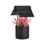 Click Φυτο σε Γλαστρακι Διαφορα Χρωματα pl.