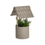 Click Φυτο σε Γλαστρακι Διαφορα Χρωματα pl.